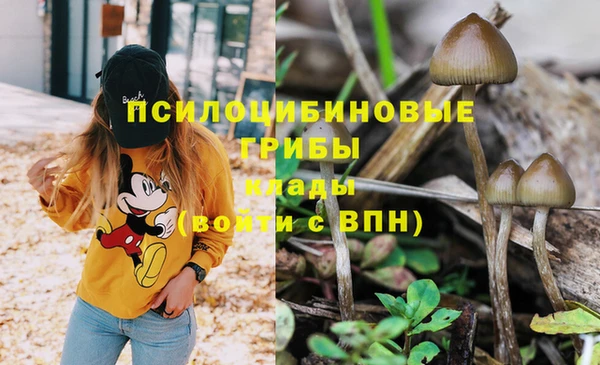 первитин Алексеевка