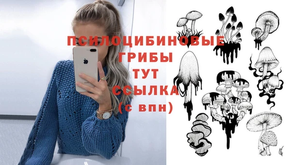 прущий лед Алексин