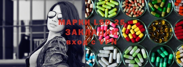 apvp Алзамай