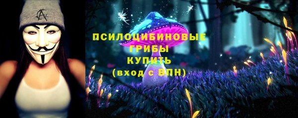 apvp Алзамай