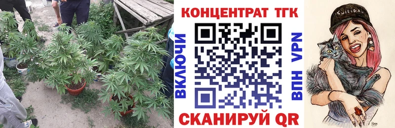 kraken как зайти  Арамиль  ТГК THC oil 
