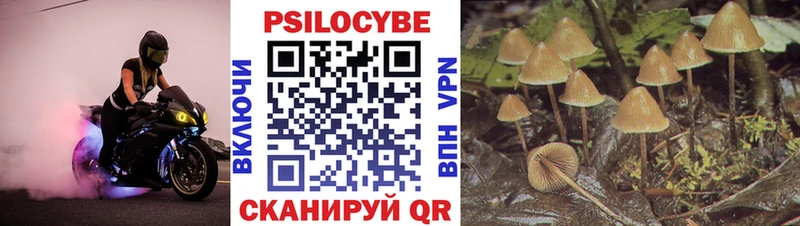 Галлюциногенные грибы прущие грибы  Арамиль 