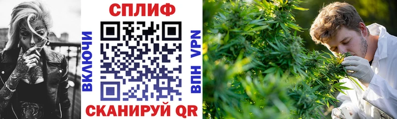 купить   Арамиль  Бошки Шишки тримм 